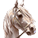 骑马与砍杀2：霸主/Mount & Blade II: Bannerlord