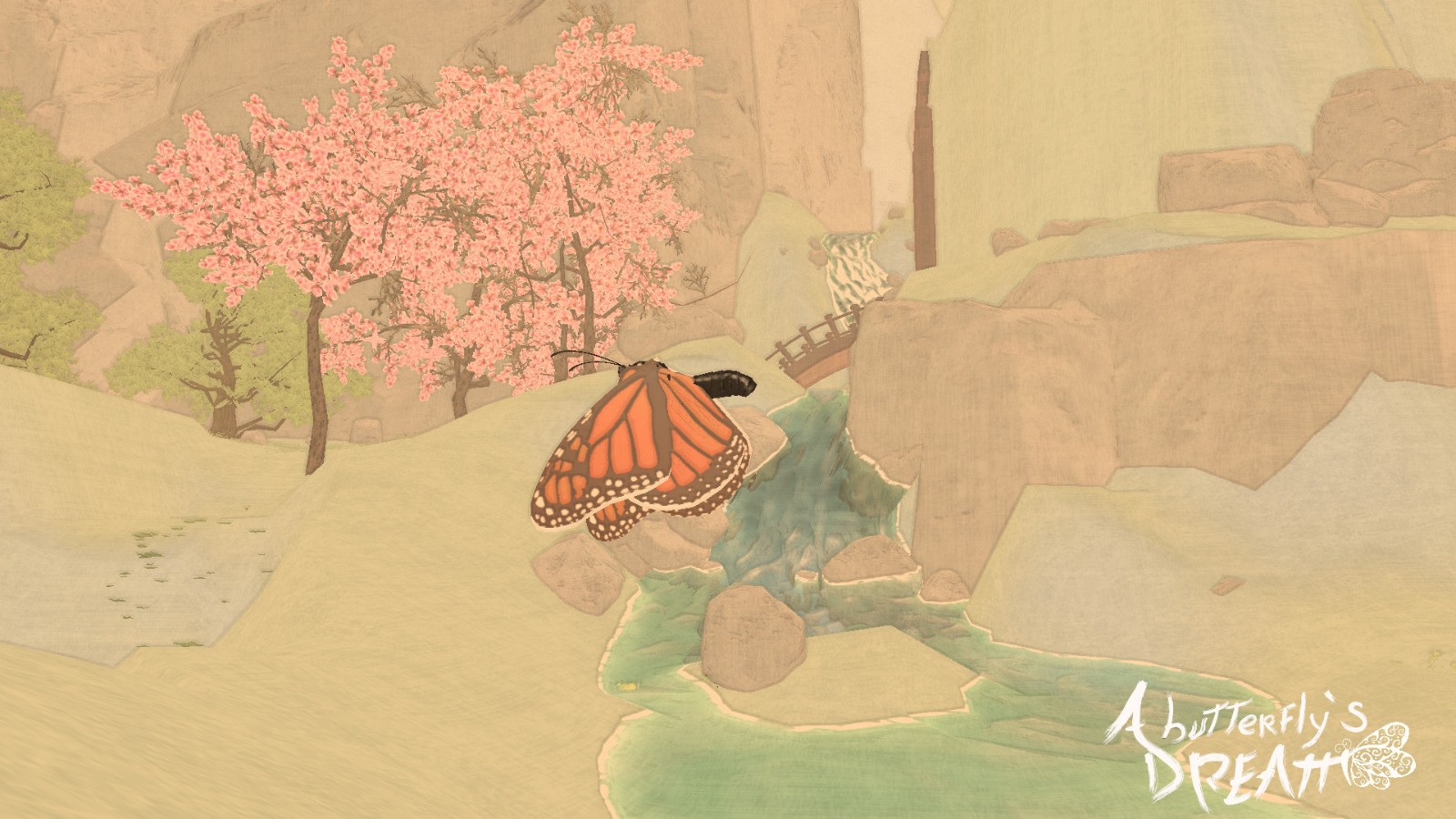 蝴蝶梦/A Butterfly's Dream插图5