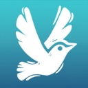 东篱之下/Preserve