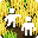 小梯田/Tiny Terraces