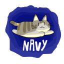 猫猫海兵团/Neko Navy