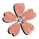 窗口花园/Window Garden