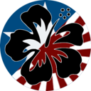 SGS：夏威夷行动/SGS Operation Hawaii